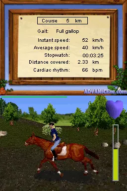 Image n° 3 - screenshots : Equestrian Training - Stages 1 to 4